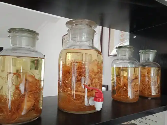 血三七泡酒有什么功效_三七泡酒的功效与作用6_三七根的作用与功效与