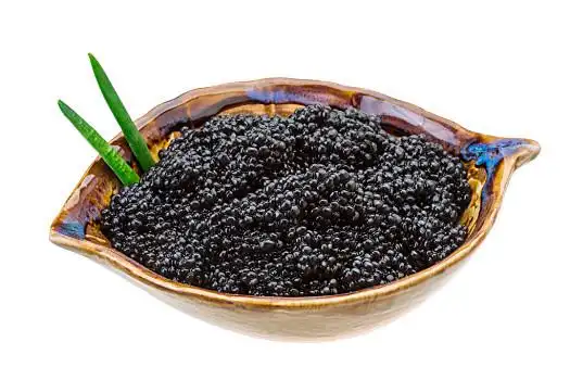 鱼子酱图片_鱼子酱图片大全_鱼子酱图片素材