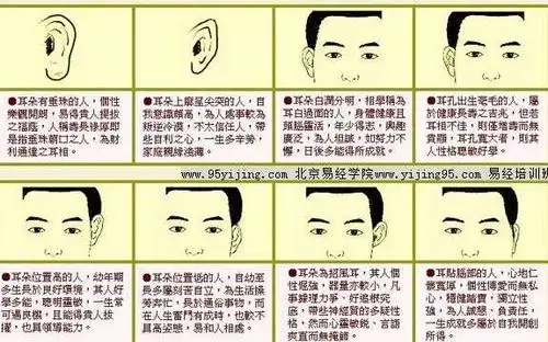 耳朵看相图解耳肉薄并能在耳肉中看到血管的网状散布的人,患有呼吸