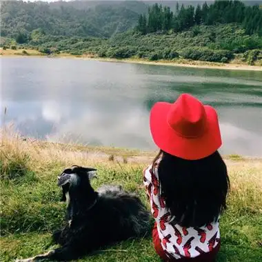 唯美小清新女生背影头像大全