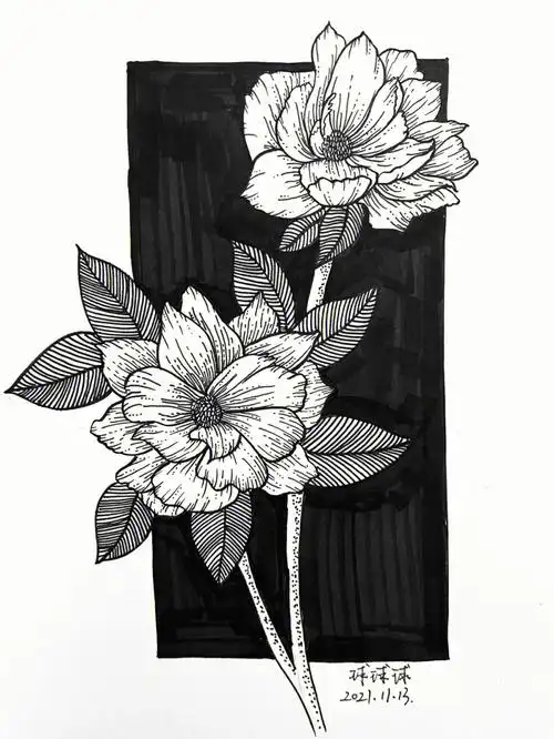 黑白装饰画打卡第二十五天练习线条控笔历时两小时继续加油94#针管