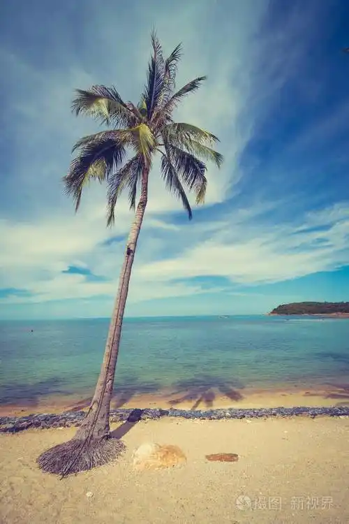 美丽的热带海滩海和沙子与椰子棕榈树在蓝天白云为旅行和假期
