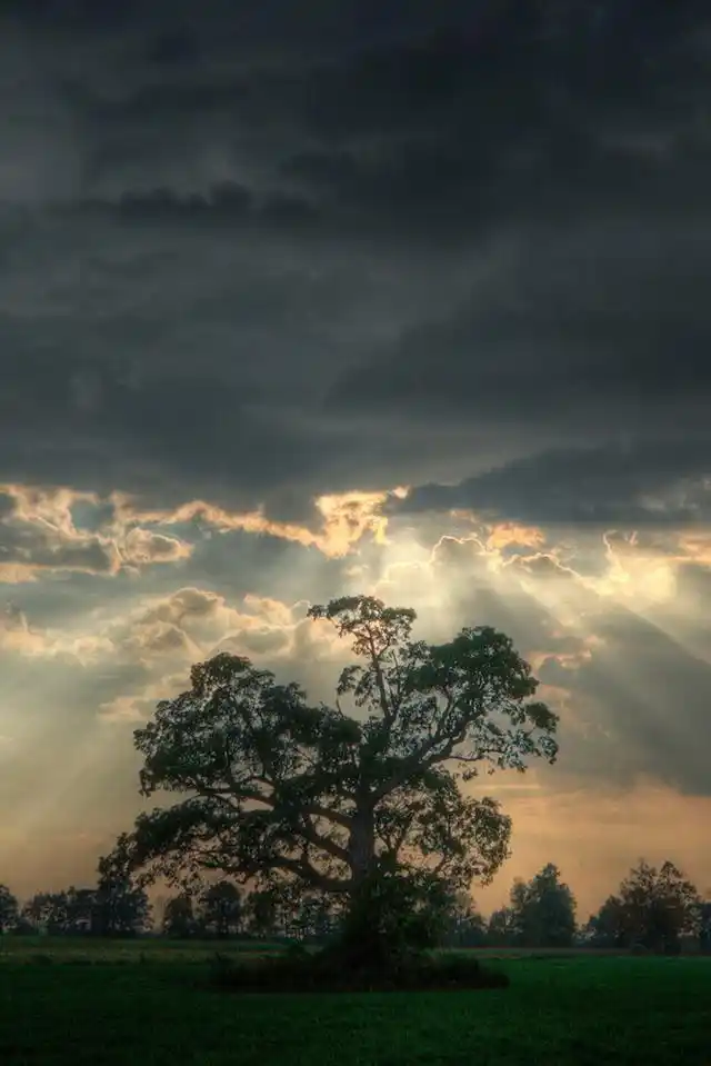 唯美意境图片清爽自然景色高清手机壁纸