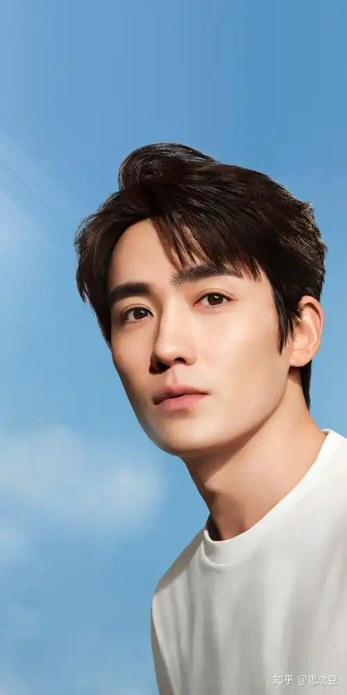 你认为国内男明星的颜值top1是哪位