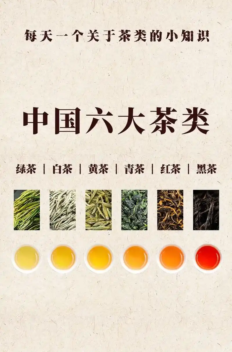 六大茶类.#普洱茶 #茶人茶事茶生活 #喝茶 #茶叶 #茶百 - 抖音