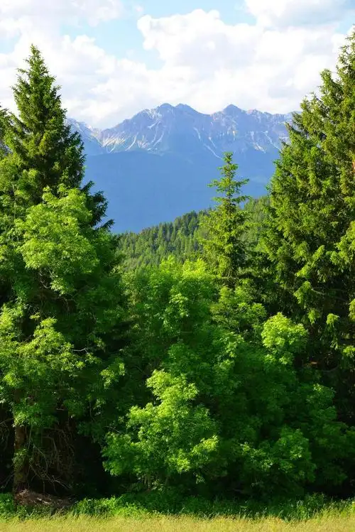 幽美的自然风景