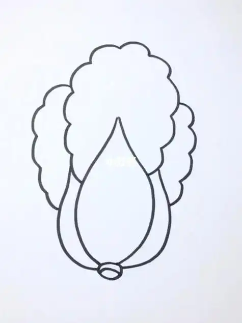 大白菜是怎么画的图片简笔_高考资讯 - 壹壹高考网