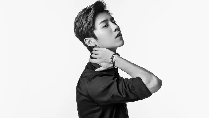 33m上传时间:2020-06-16壁纸标签:鹿晗黑白明星风尚壁纸封面图鹿晗