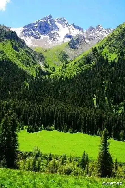 新疆伊犁的打卡攻略,带你领略神奇的西域风光!