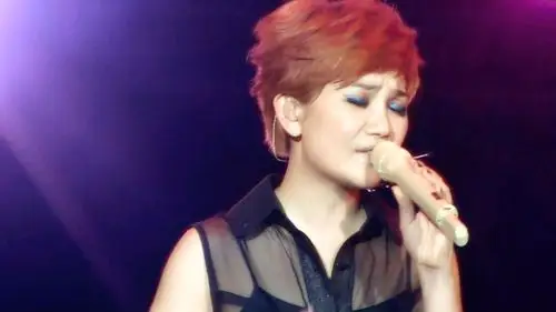 梁静茹演唱歌曲精选