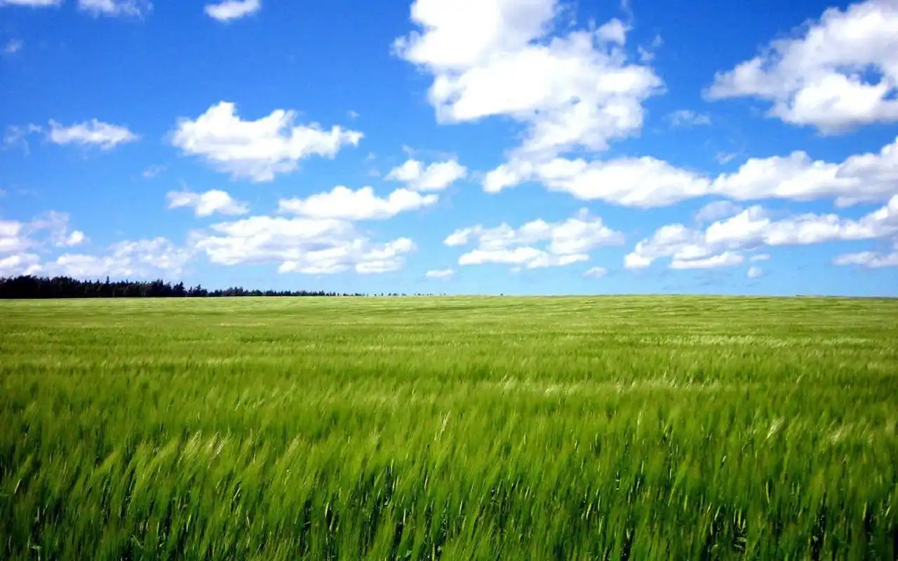 超清护眼自然风景图片桌面壁纸