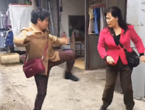 猫咪在街头看大妈吵架,回来后虐哭全社区小猫|家猫|大猫|打架|吴京