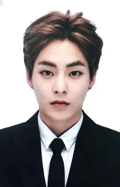 exo 金珉锡 证件照