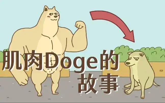 肌肉doge的故事
