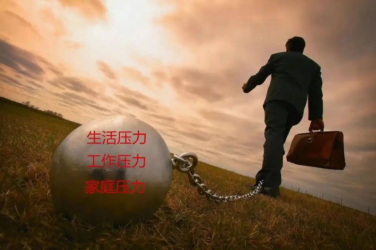 面对这样的生活压力,男人更需要注重营养均衡,才能获得好