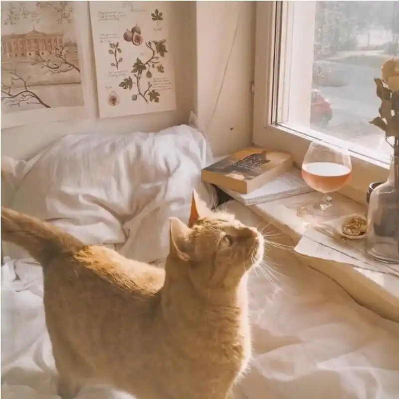 #小清新 #朋友圈背景 有时候,简单的几张图片也能治愈心灵! - 抖音