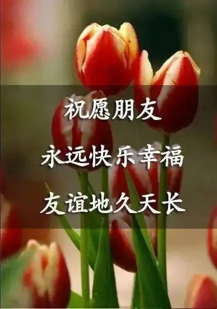 九点让你看清酒肉朋友和真心朋友的区别 : 1, 真心朋友是那 - 抖音