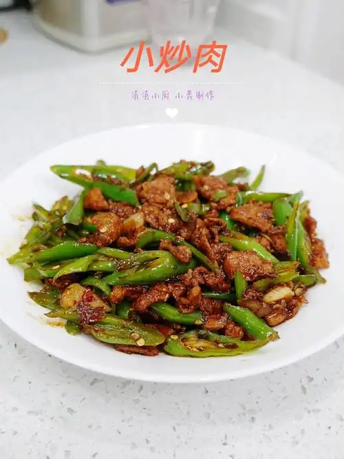 我的美善品日常  #美善品  #小炒肉  #辣椒炒肉小炒肉配料(高温菜谱)