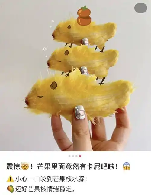 把芒果核当成宠物养?