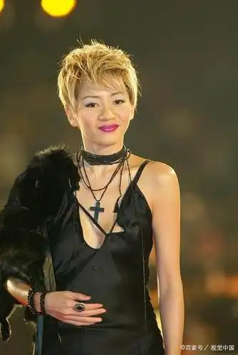 梅艳芳母亲破产 曾经的阿姐也是樊胜美