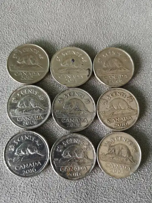 加拿大硬币面值5加分,共9枚