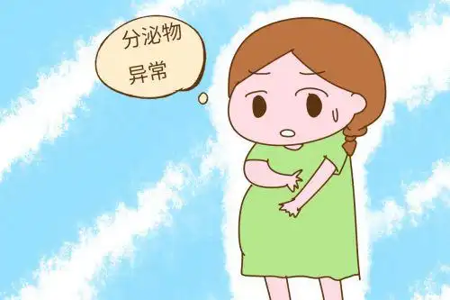 孕期每个女人都会有分泌物流出,而这些分泌物大多都是白带,正常的情况