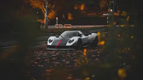 个性跑车简单壁纸_最酷的个性跑车