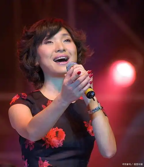 "从歌手到副主任:陈红的坎坷人生路"