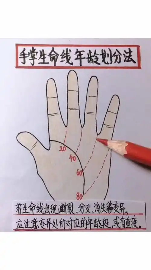 手掌生命线年龄划分法