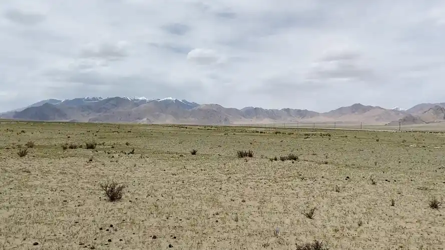 可可西里 野牛沟 无人区 -格尔木 昆仑山 青海