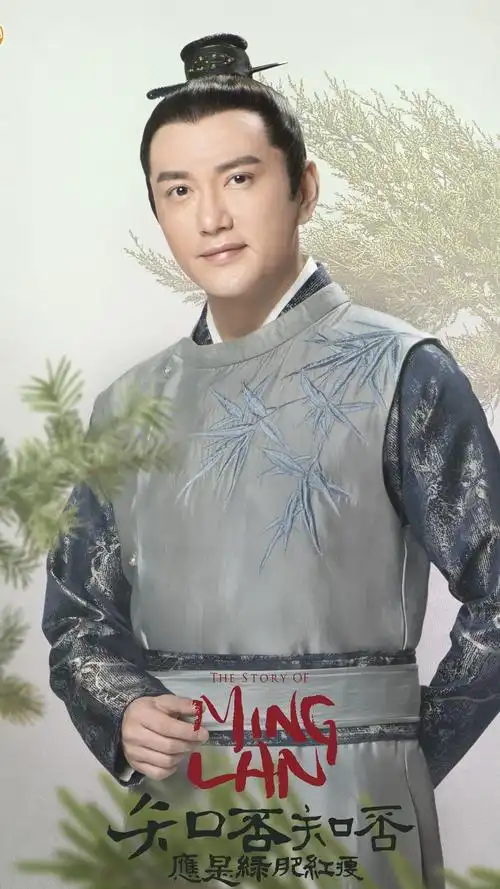 知否知否应是绿肥红瘦王仁君古装造型