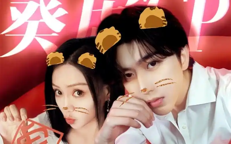 葵虎|坤寅穿越剧情