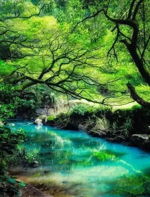 人间仙境,美到泪流!