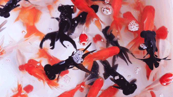 711_400gif 动态图 动图