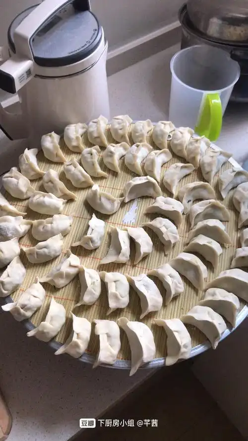 自己在家包饺子