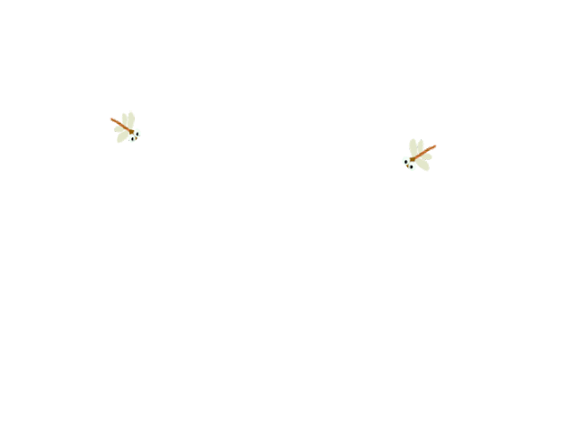 640_480gif 动态图 动图