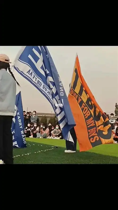 任何一个朋友没看到我扛tfboys王俊凯大旗我都会很伤心的ok