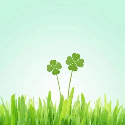 绿色背景,阴影,网络,四叶草,高光,几何,计算机图形,合成,草,幸运草