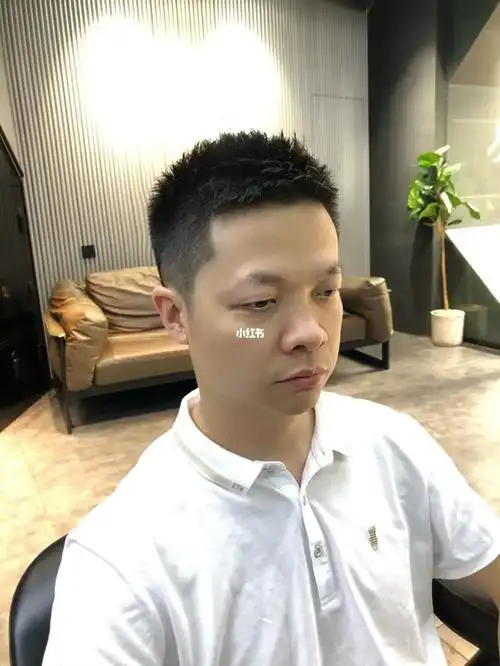 绅士们短飞机头