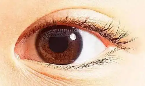 熄风解痉方案|熄风解痉方汤剂治疗眼睑痉挛