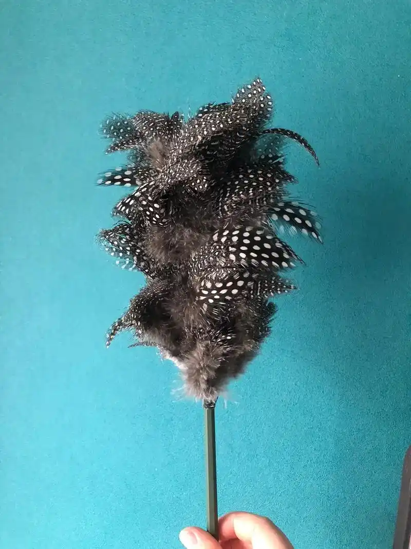 鸡毛掸子.#亲手制作 第一次做,虽然失败了,但还是记录一下. - 抖音