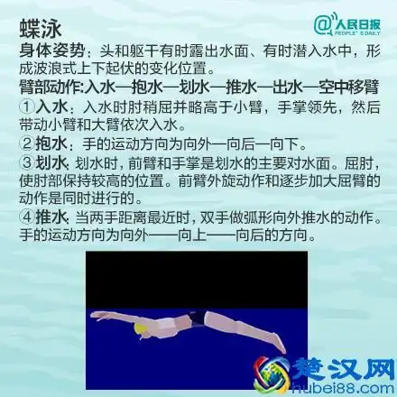 怎么学游泳最快(10分钟学会游泳的方法)