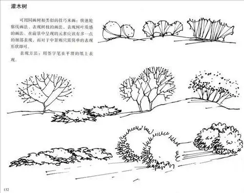 乔灌木组合简笔画