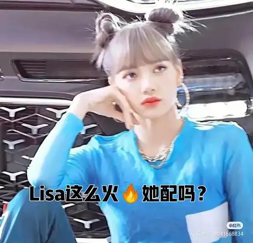 lisa老粉黑粉进