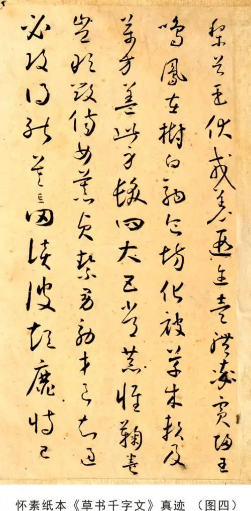 怀素真迹《草书千字文》面世,震惊中外