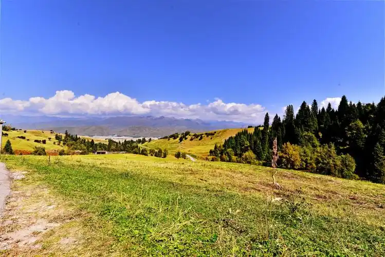 新强山地草原一一那拉提 2o17年秋天