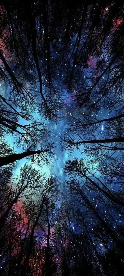 640_1426竖版 竖屏