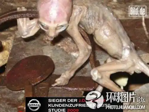 人们在一个动物陷阱里发现了仍然活着的外星人宝宝!