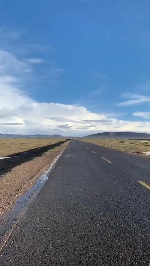 这是昨天在可可西里无人区拍的,找不到野生动物96