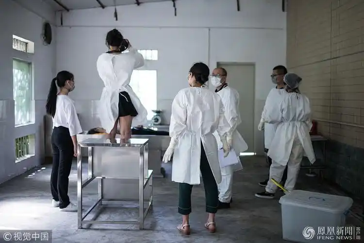 解剖上千具尸体女法医我们是正常人